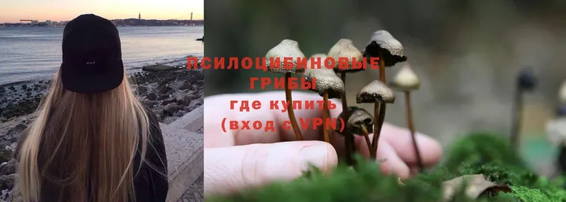 Галлюциногенные грибы MAGIC MUSHROOMS  купить   Собинка 